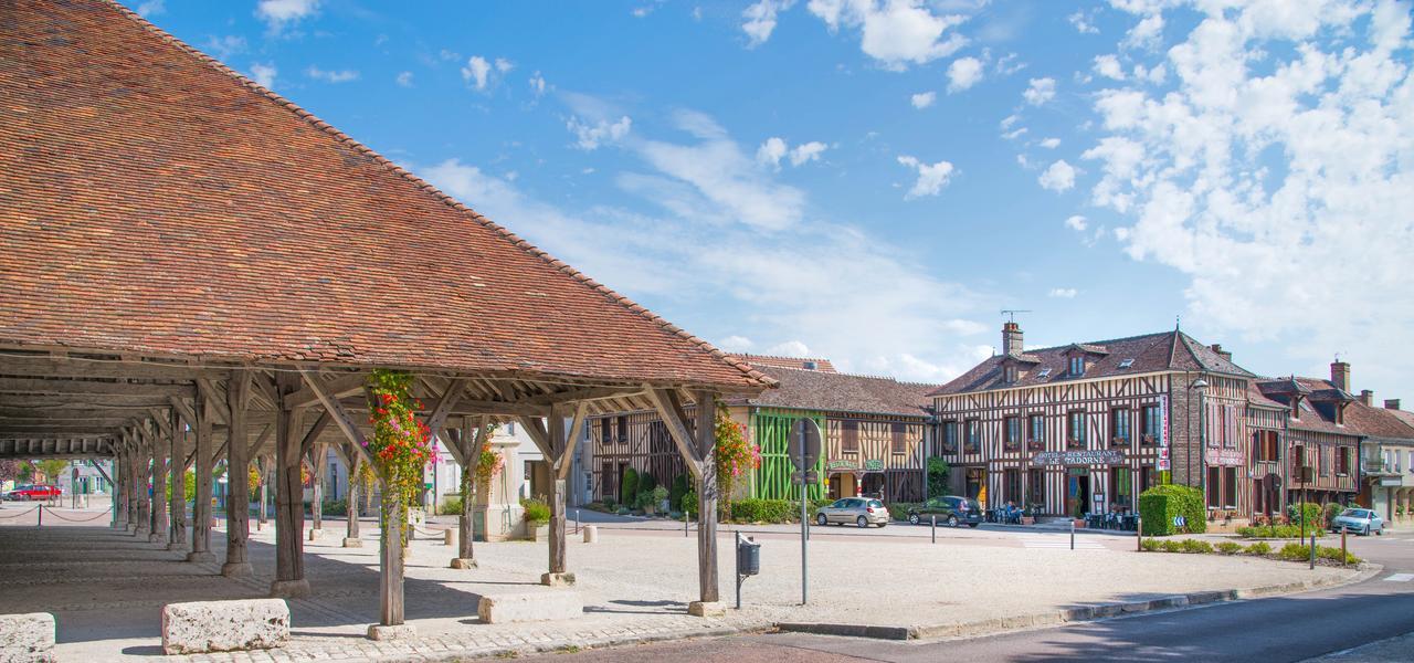 Hotel Logis Le Tadorne Piney Esterno foto